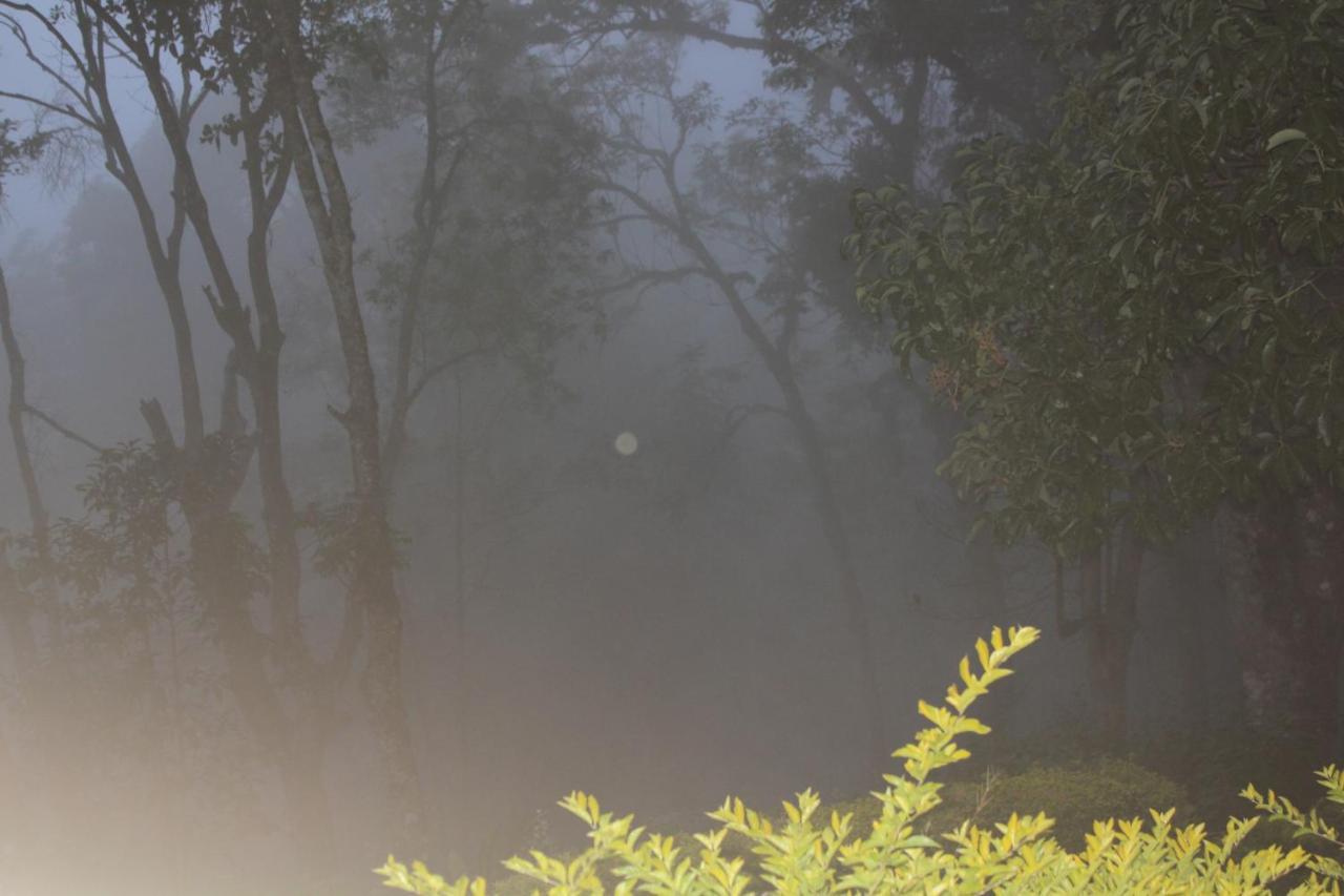 The Cliff Resort, Munnar Exterior photo